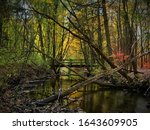 Daytime photo of Cobus Creek in Elkhart, Indiana in autumn with bridge in the background and surrounding forest with beautiful fall colors in the trees