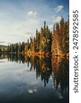 Daytime reflection of trees, clouds on a lake in Alaska