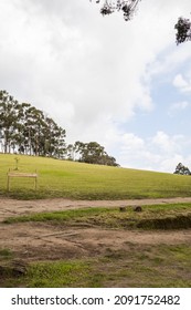 Daytime Scene With Trees On A Hill, Sky With Clouds, Mowed Grass And Dirt Road, Scene With Nature, Field Background