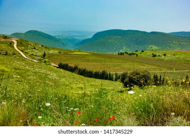 Daytime Spring View In Upper Galilee, Israel