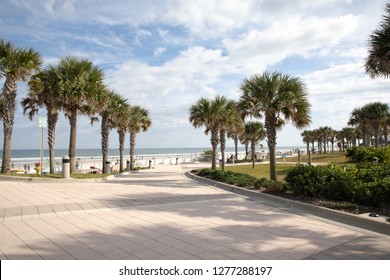 Daytona Beach Palm Trees Stock Photo 1277288197 | Shutterstock