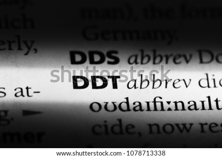 ddt word in a dictionary. ddt concept