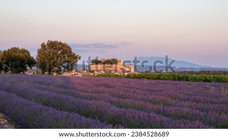 Château de Grignan, lavender fields and Mont Ventoux in the background 