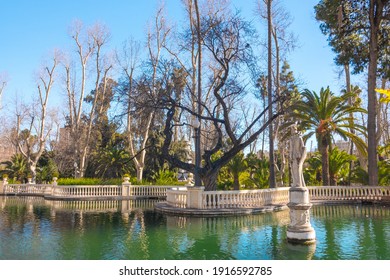 Castellón De La Plana, Valencian Community, Spain (Costa Del Azahar) - January 2021. Beautiful Ribalta Park Pond. Public Area.