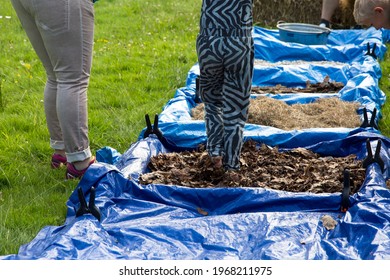 De Lutte Losser Twente Overijssel Netherlands Stock Photo 1968211975 Shutterstock