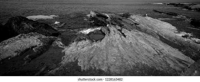 Montaña De Oro State Park