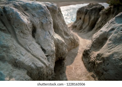 Montaña De Oro State Park