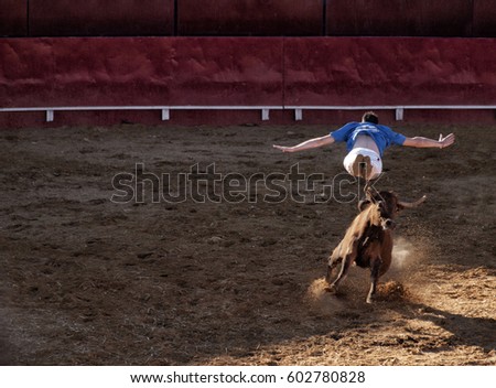 Similar – Image, Stock Photo Please don’t pet the bull.