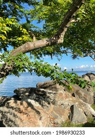  Baía De Todos Os Santos, Located In Recôncavo Baiano. Cultural And Gastronomic Wealth Of The Brazilian Northeast