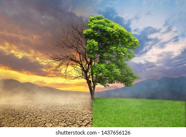 Dead and alive tree in a split of crack wasted land and green meodow field a concept of climate change and global warming