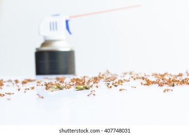 Dead Ant With Insecticide