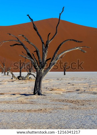 Similar – Dead Vlei Namibia