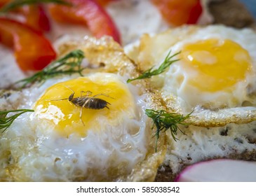 A Dead Cockroach In Scrambled Eggs.