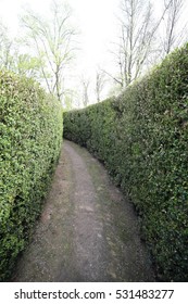 Dead End Street In An Intricate Maze Of Hedges