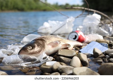 37,024 Deadly Pollution Images, Stock Photos & Vectors | Shutterstock