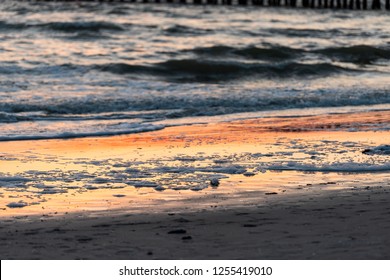 Dead Fish, Foam Washed Up Red Tide Algae Bloom Toxic In Naples Beach In Florida Gulf Of Mexico During Sunset On Sand