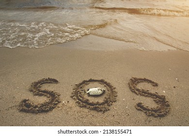 Dead fish on the beach, SOS signal, marine pollution crisis concept. - Shutterstock ID 2138155471