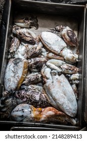 Dead Fish On The Deck Of A Fishing Trawler