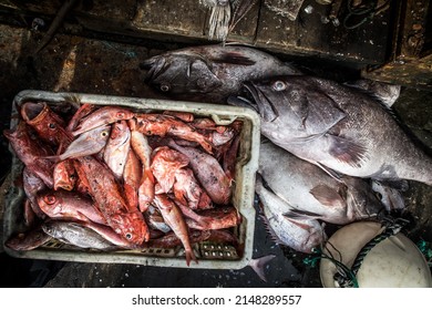 Dead Fish On The Deck Of A Fishing Trawler