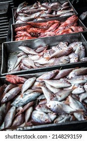 Dead Fish On The Deck Of A Fishing Trawler