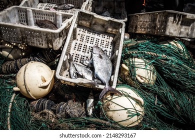 Dead Fish On The Deck Of A Fishing Trawler