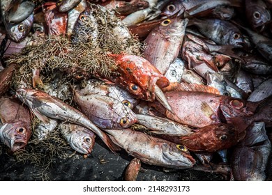 Dead Fish On The Deck Of A Fishing Trawler