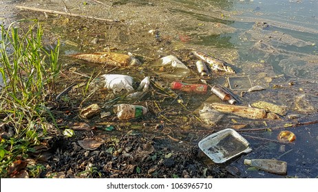 48,820 Polluted lakes Images, Stock Photos & Vectors | Shutterstock