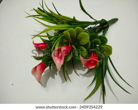 Dead flowers with green leaves and white background