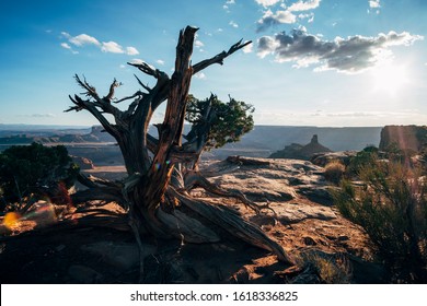 Dead Horse Point State Park - Utah - USA