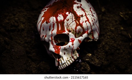 Dead human skull in the soil closeup