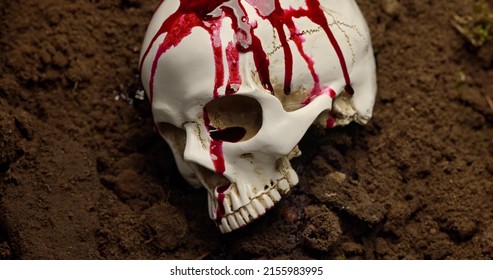 Dead human skull in the soil closeup footage