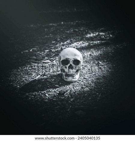 dead illuminated cranium placed grey soil