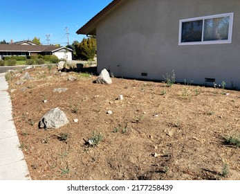 Dead Lawn In Neglected Front Yard.