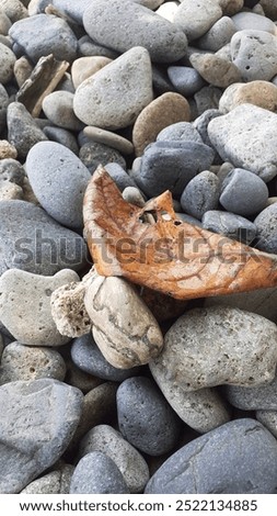 Dead leaf and beach pebles for background