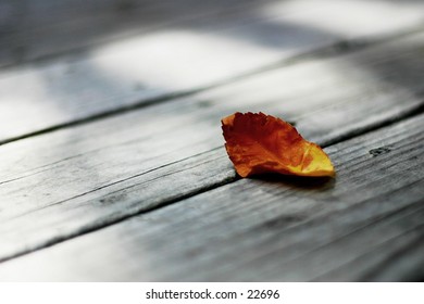 Dead leaf on porch.