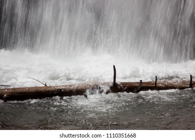 Dead log below a waterfall