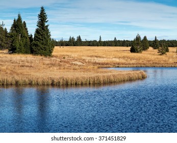 Dead Pond, Ore Mountains, Czech Republic.