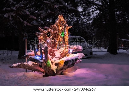 Dead rootball from snag decorated with colored lights for Christmas in the mountain snow