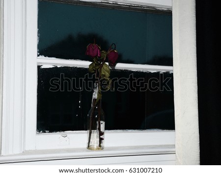 Dead roses