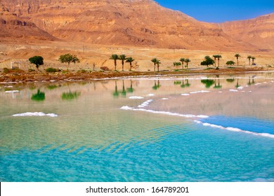 Dead Sea seashore with palm trees and mountains on background - Shutterstock ID 164789201