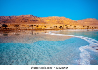 Dead Sea seashore with palm trees and mountains on background - Shutterstock ID 463528040