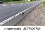 A dead stork lies on the side of a highway, highlighting roadkill issues.