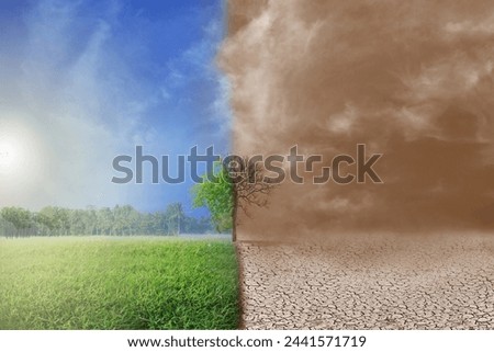 The dead tree in the arid land with air pollution compare with the growth tree in the fertile land.The Environmental impacts from human actions.Global warming,climate change,greenhouse effect concept.