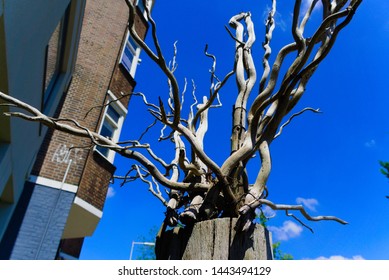 Scary Tree Roots Images Stock Photos Vectors Shutterstock