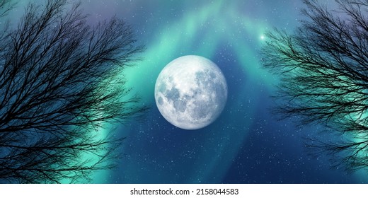 dead tree branches and green aurora lights and glowing supermoon. amazing night sky landscape