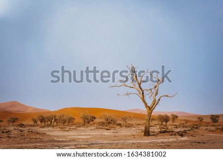 Similar – arid expanse Landscape