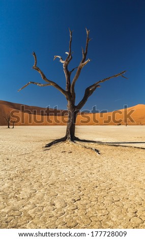 Similar – Einsamkeit Africa Desert