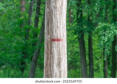 Dead tree with red mark against green trees background - Powered by Shutterstock