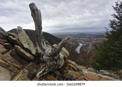 A Dead Tree Stump Above The Lehigh River At Lehigh Gap