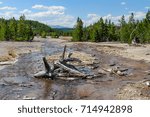 Dead tree trunks in a flowing stream in the Norris Geyser Basin in Yellowstone National Park